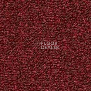 Ковролин Radici Trotter Rubino 9506 фото 1 | FLOORDEALER